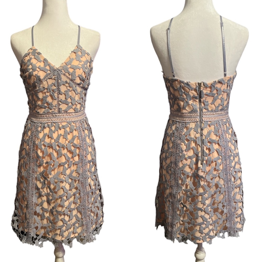 Elliatt Lace Mesh Mini Dress